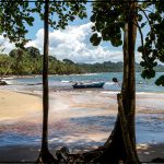 Plage tropicale bordée de palmiers au Costa Rica