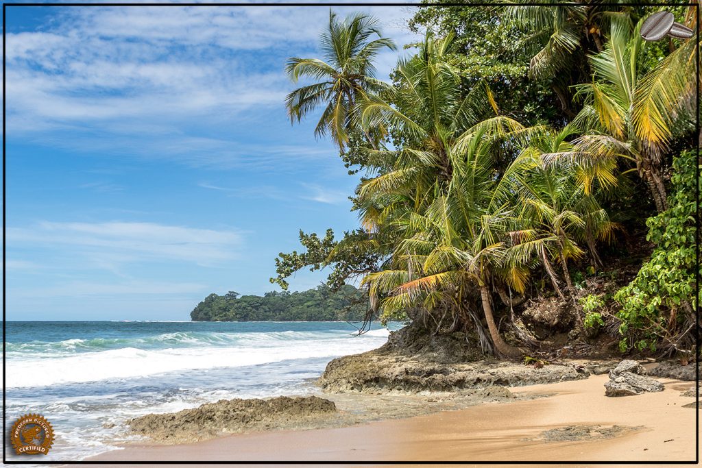 Plage tropicale bordée de palmiers au Costa Rica