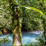 Paysage et végétation du Costa Rica