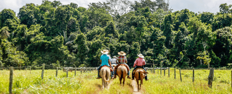 balade à cheval au Costa Rica - Rincon de la Vieja