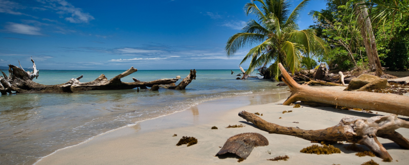 plage au Costa Rica, activité détente